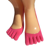 No Show Full Toes Socks for Women, Pack of 7 - Lantee Online Store